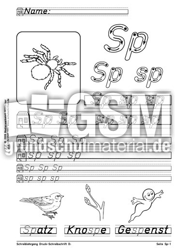 Schreiblehrgang D Sp-1.pdf